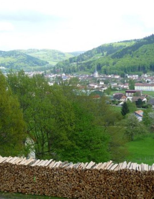 Le-Bois-pour-lhiver-768×422 Le-Bois-pour-lhiver-768x422