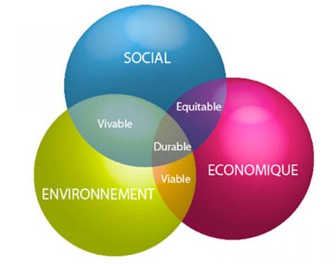 commission-social-environnemental commission-social-environnemental